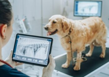 L’essor de la médecine animale prédictive : vers une nouvelle ère de la santé vétérinaire