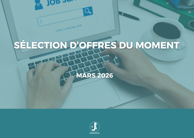 Sélection d&rsquo;offre d’emploi santé animale