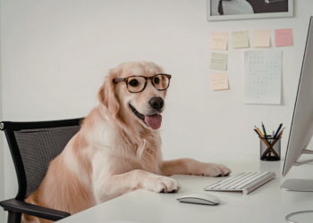 Faut-il emmener son chien au bureau ? Bien-être animal, QVT et cadre juridique