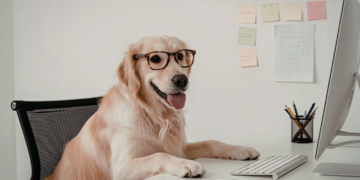 Faut-il emmener son chien au bureau ? Bien-être animal, QVT et cadre juridique
