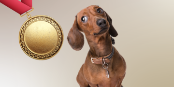 Qui es-tu vraiment, Teckel ? Portrait de l’outsider devenu star