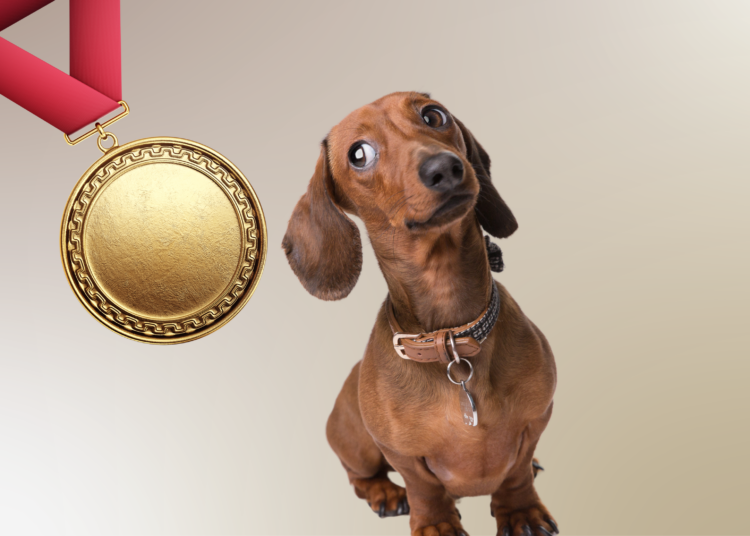 Qui es-tu vraiment, Teckel ? Portrait de l’outsider devenu star