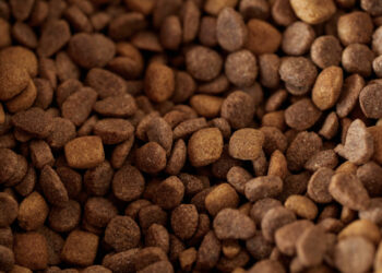Petfooders : de l’alimentation à la santé animale, une mutation stratégique du marché