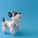 IA et animaux décédés : peut-on continuer à “faire vivre” son compagnon grâce à l’intelligence artificielle ?